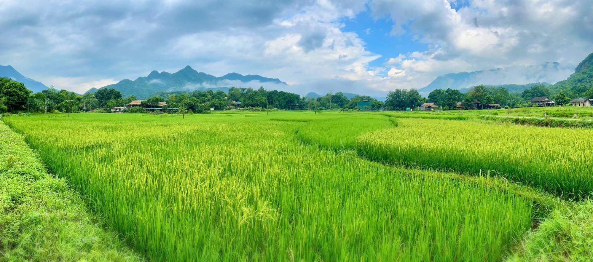 Mai Chau Sky Resort Mai Châu Exterior foto